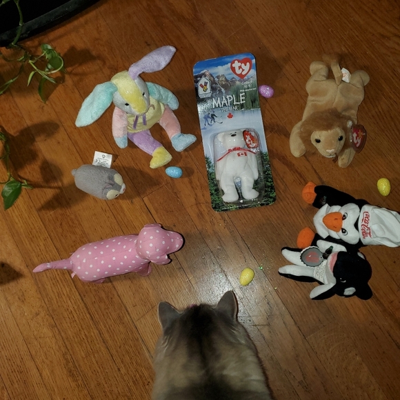 Shop Priceless Accessories - A seat at the Easter table